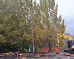 マストツリー方式１ 200.jpg